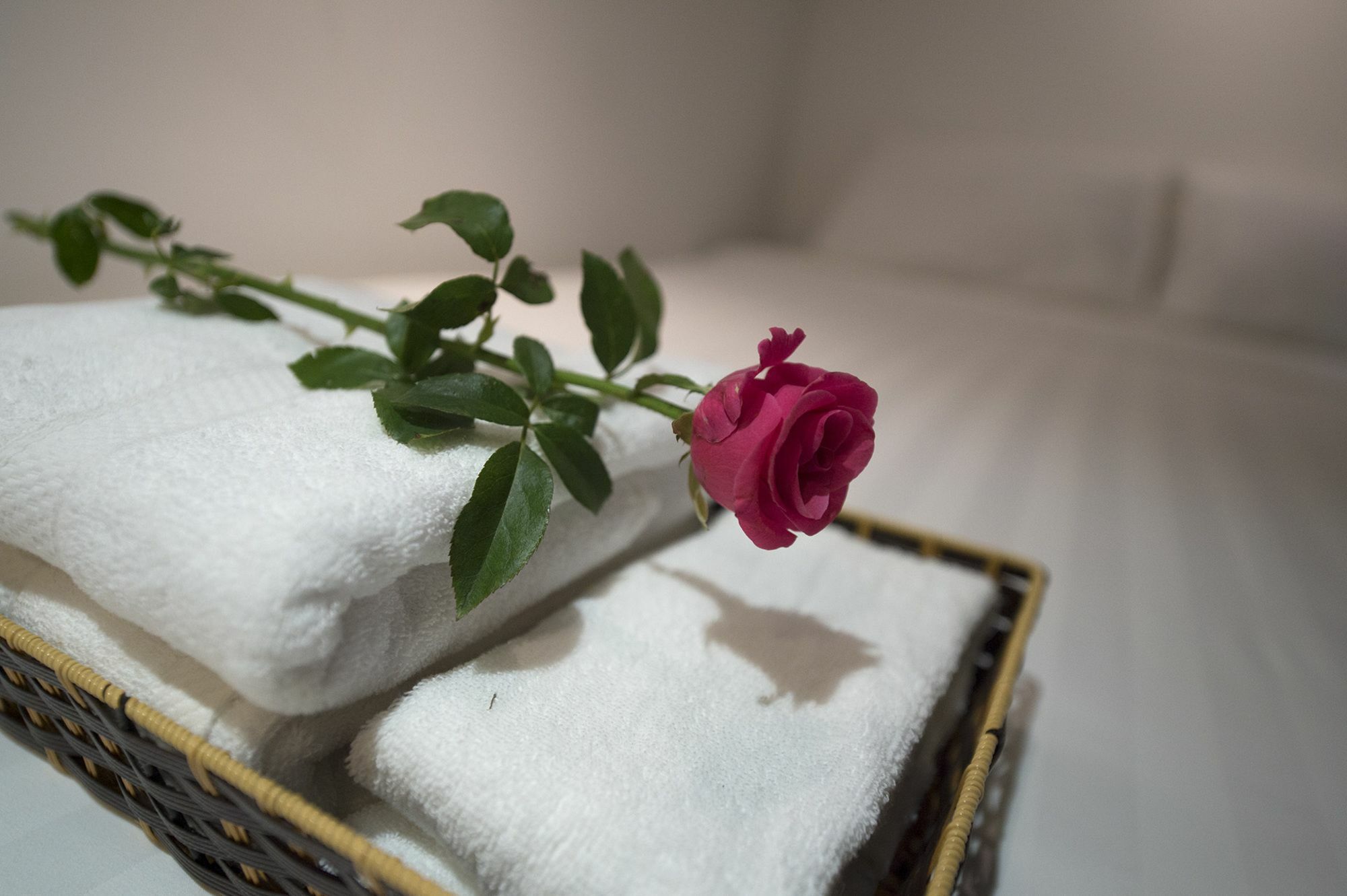 Harmony Homestay - Hanoi Homestay In Old Quarter Exteriér fotografie