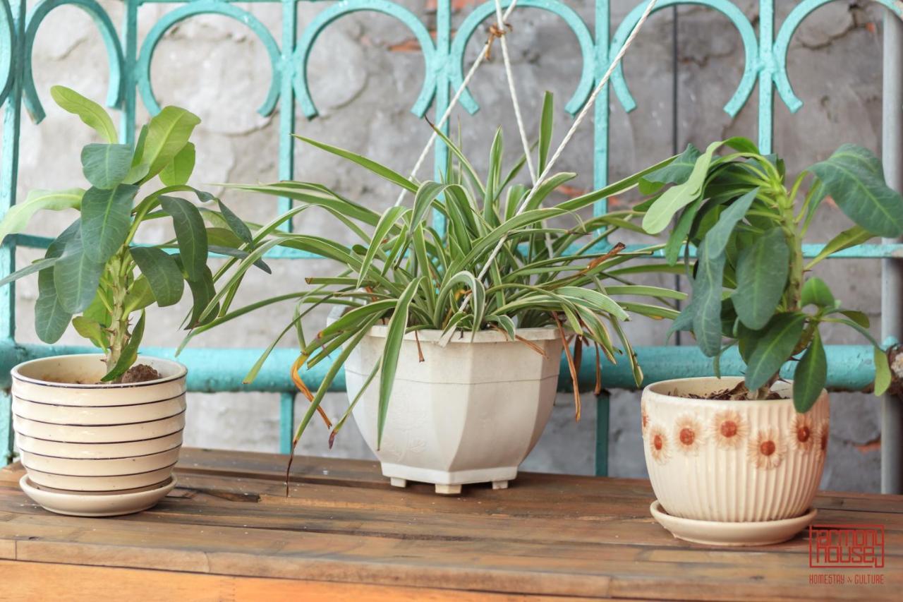 Harmony Homestay - Hanoi Homestay In Old Quarter Exteriér fotografie